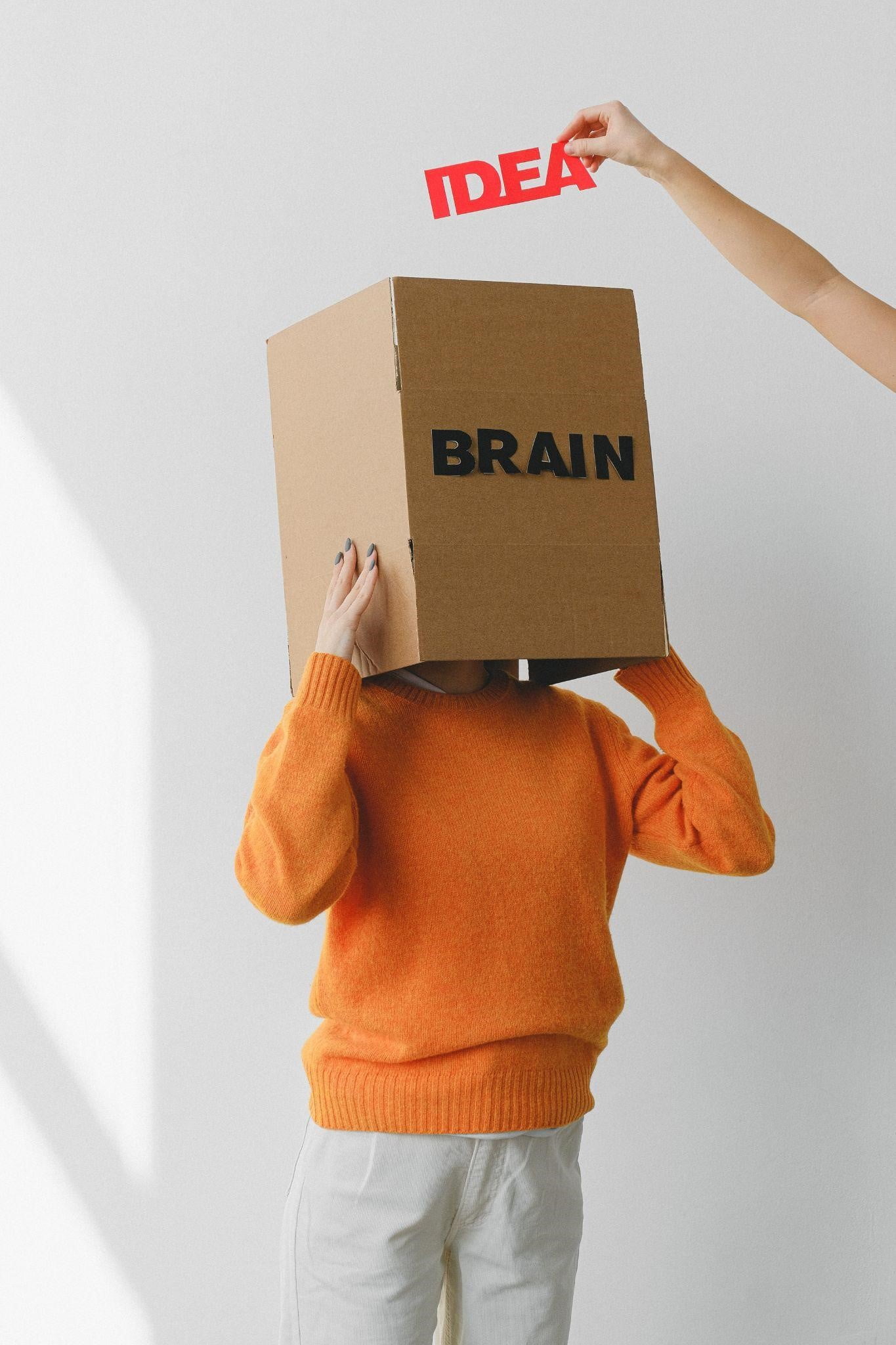 The Brain and Cognitive Function