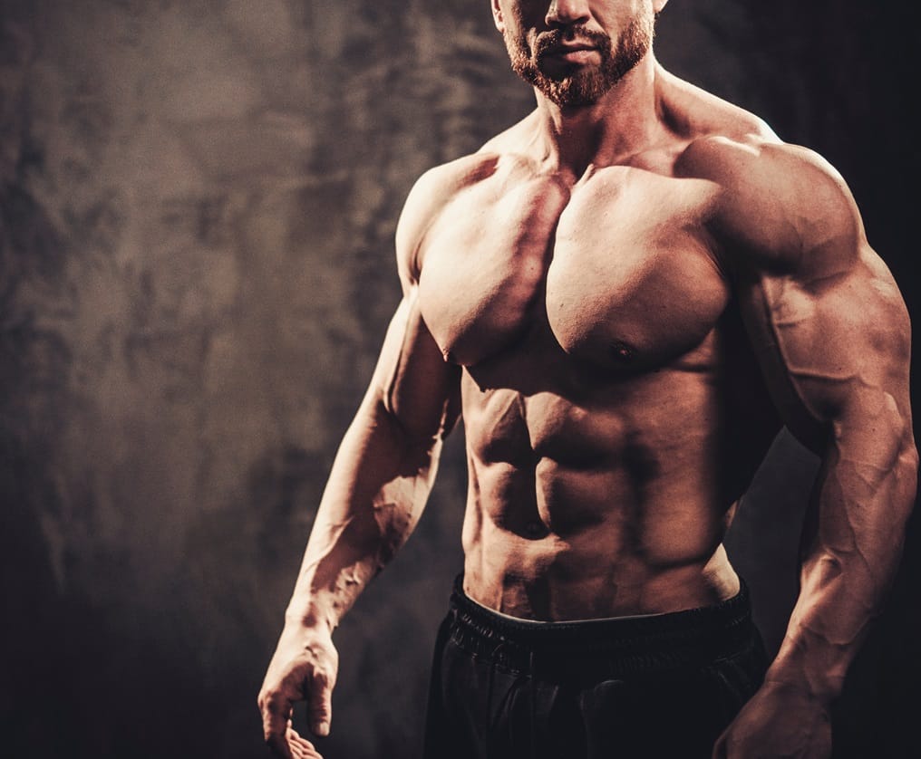 Boldenone Cycle, Side Effects, Usage Guide, and More