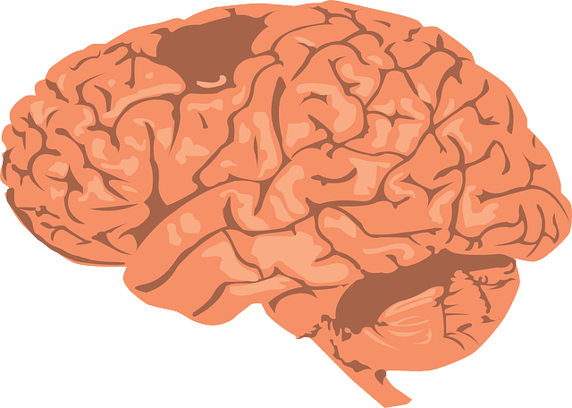 Improved Cognitive Function