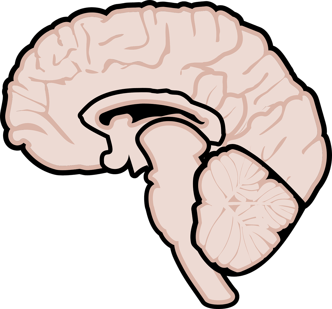 Clearing the Haze: Anabolic Steroids in Multiple Sclerosis Symptom Relief