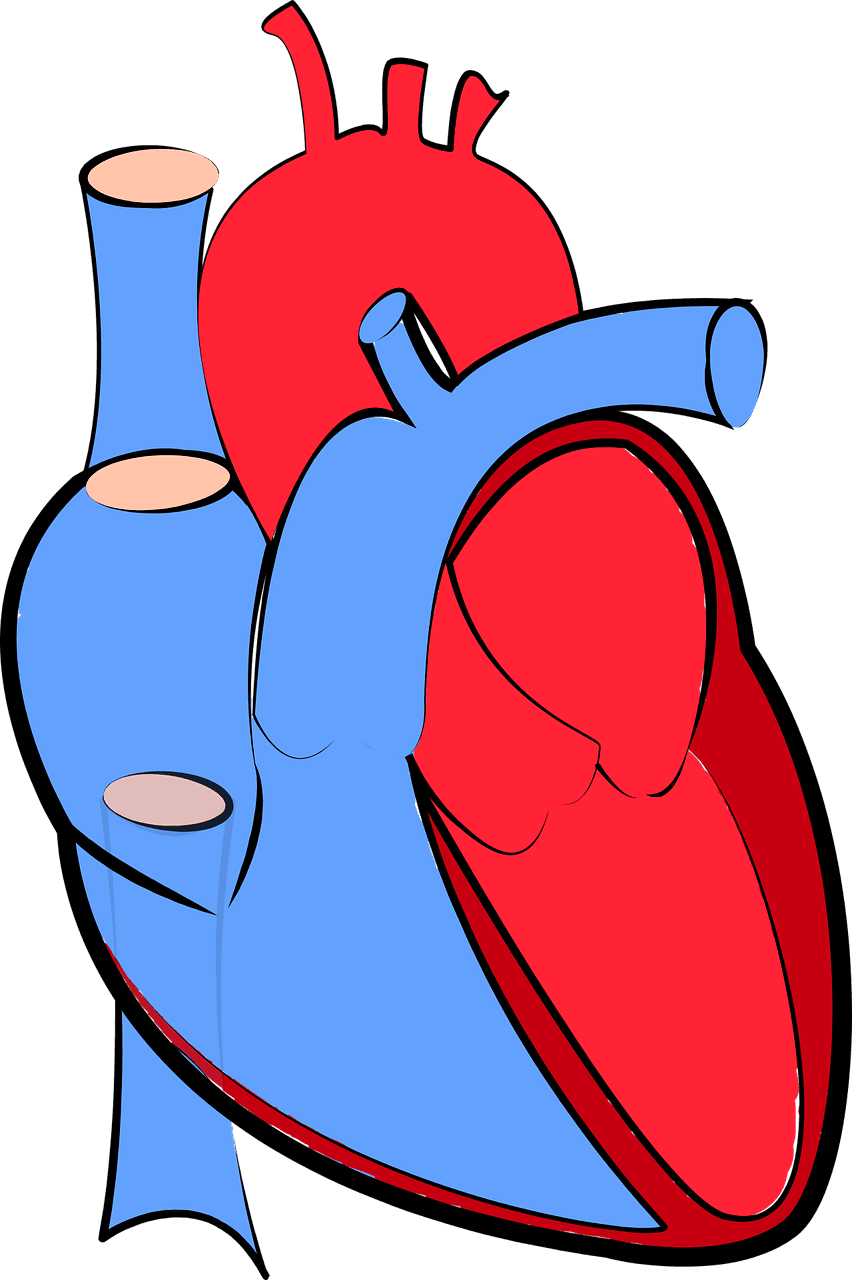 Understanding Dilated Cardiomyopathy (DCM)