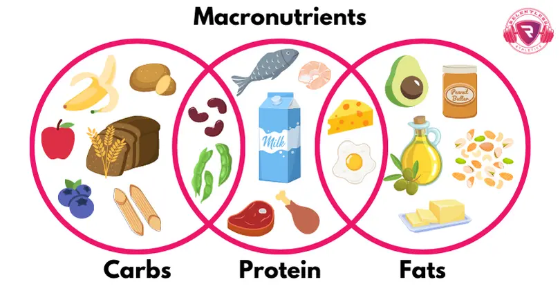 A colorful Venn diagram illustrating macronutrients intake, with three sections labeled "Carbs," "Protein," and "Fats."
