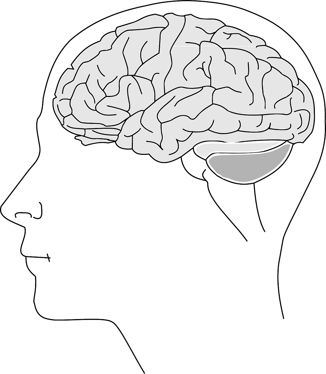 Understanding Optic Neuritis