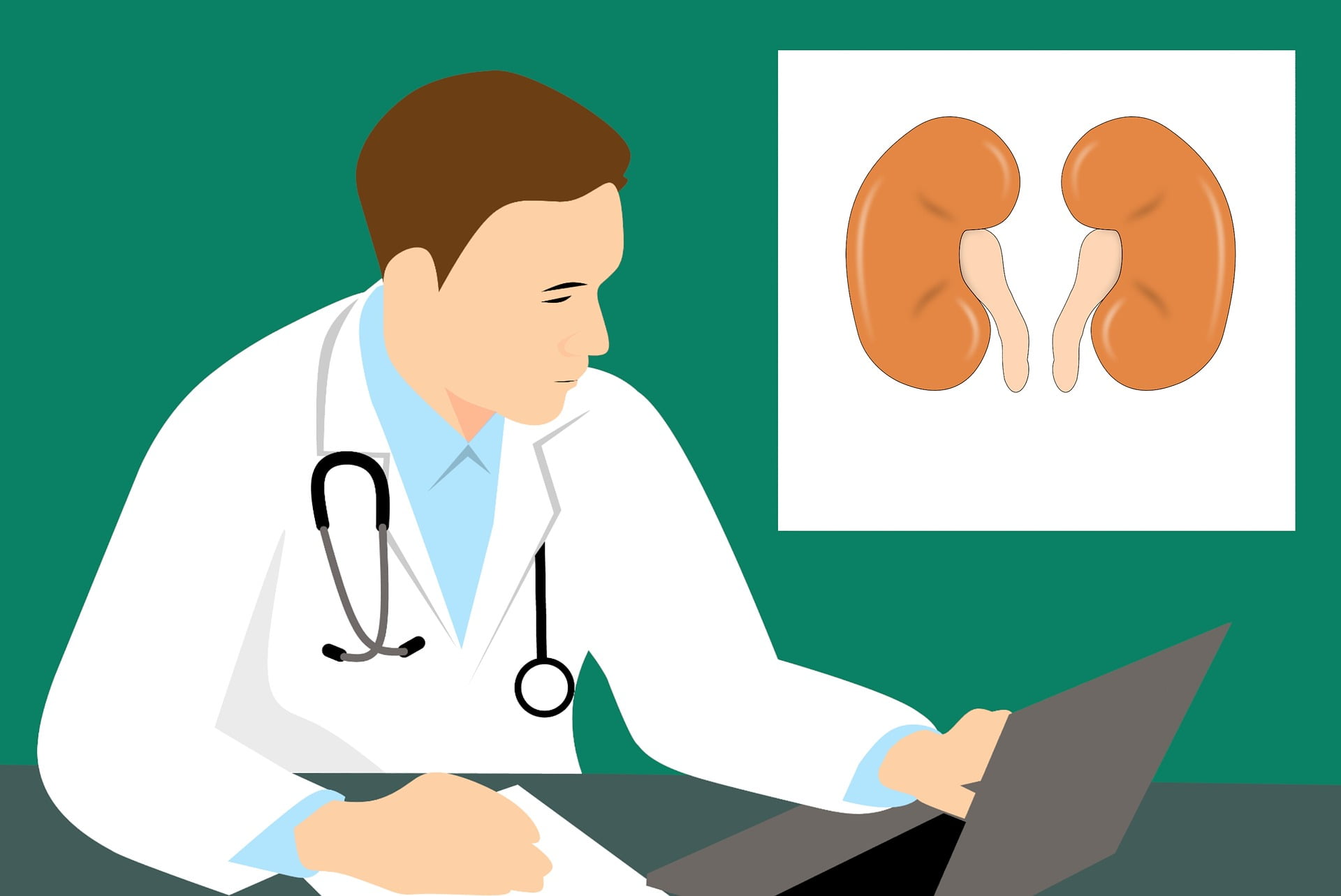 The Link between Anabolic Steroids and Kidney Health