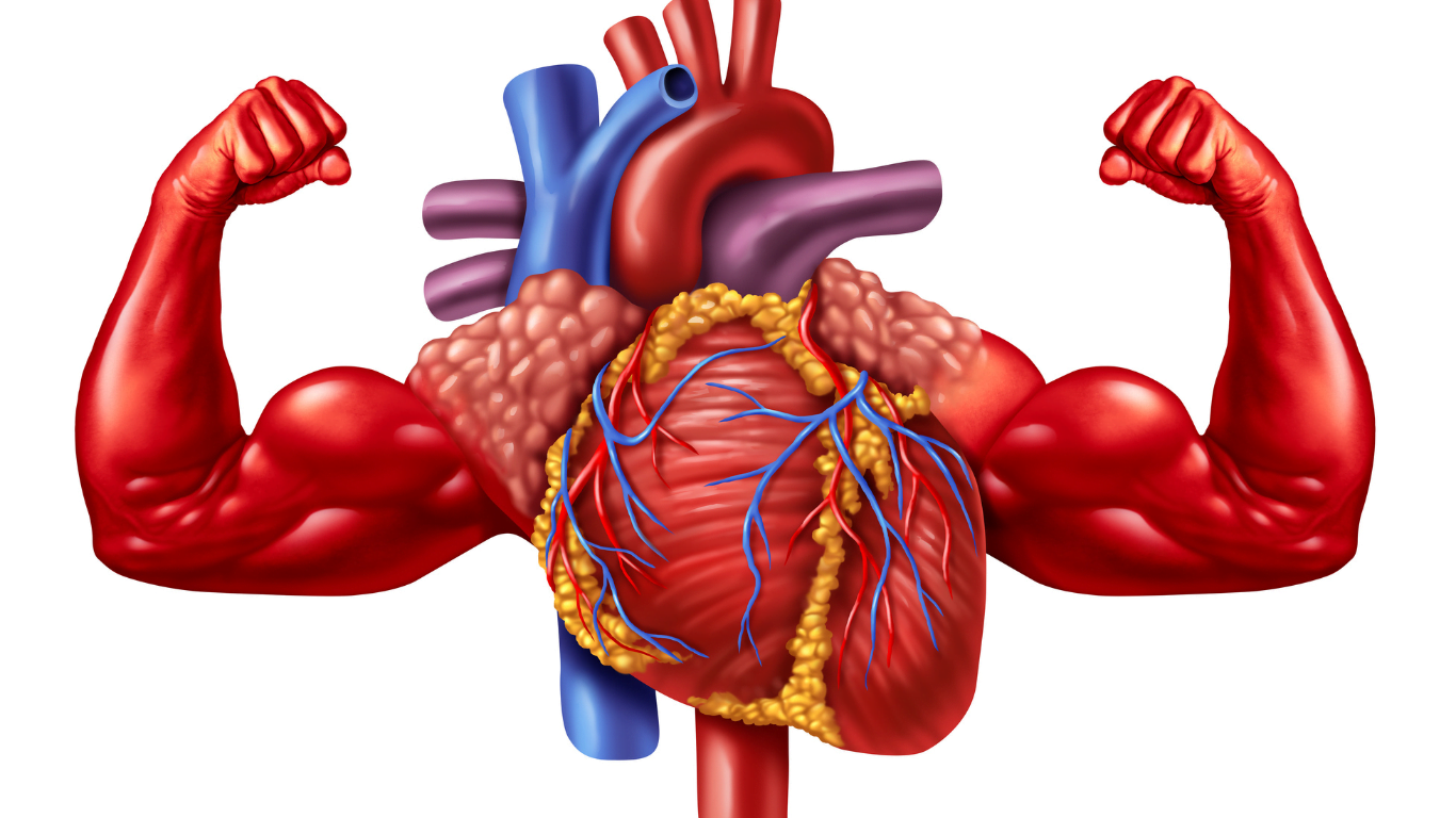 The Impact of Anabolic Steroids on Stress Resilience and Coping Mechanisms