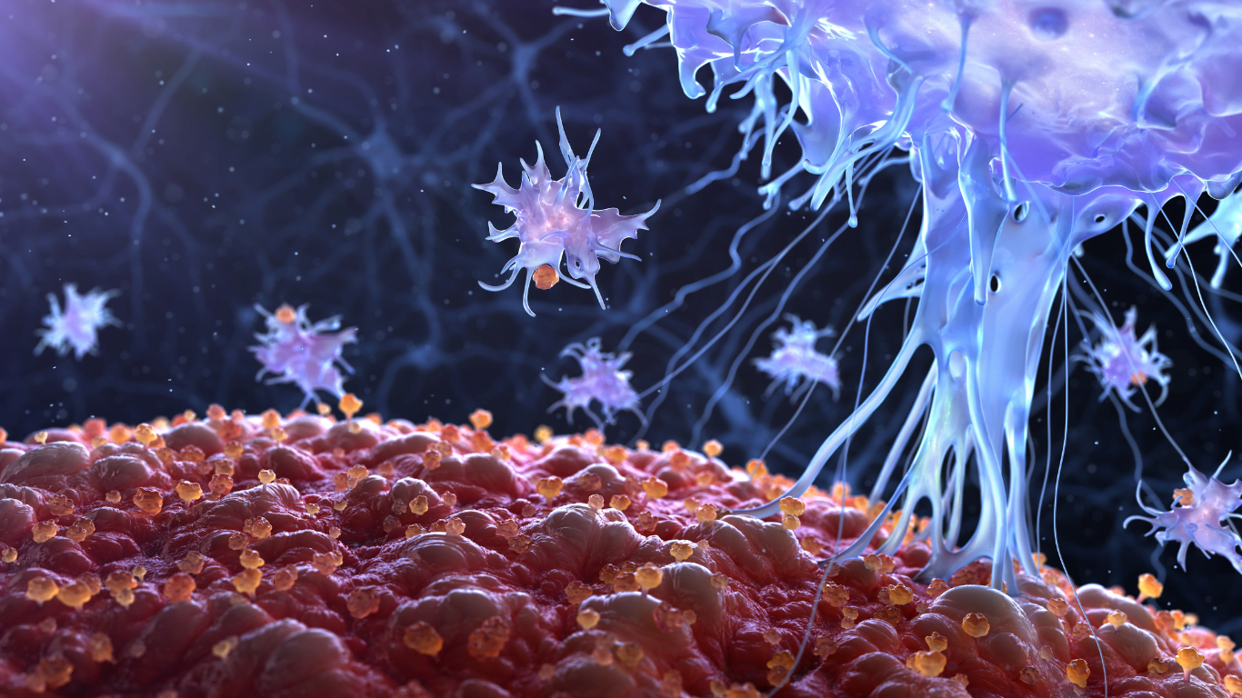 The impact of anabolic steroids on the lymphatic system and immune function
