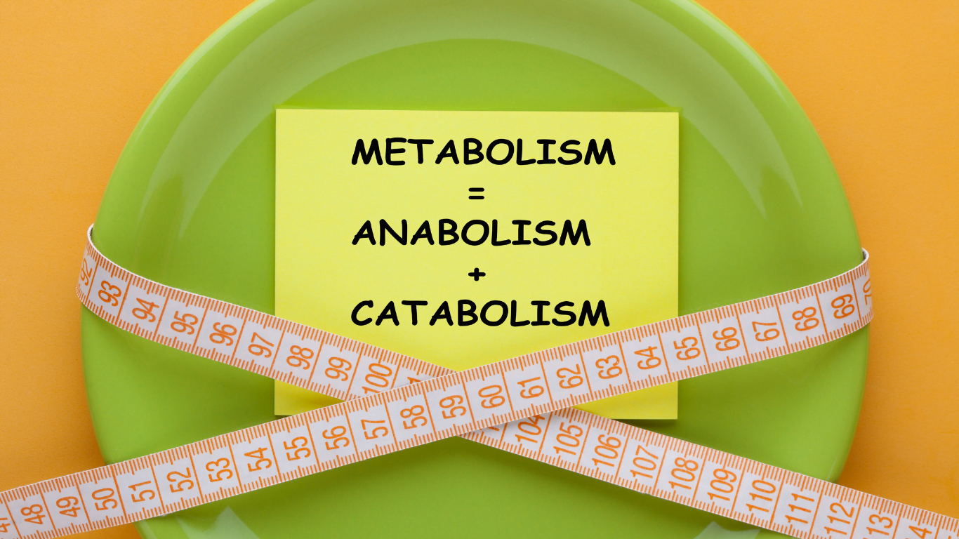 The influence of anabolic steroids on body fat distribution and metabolism