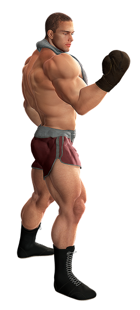 man, boxer, muscles