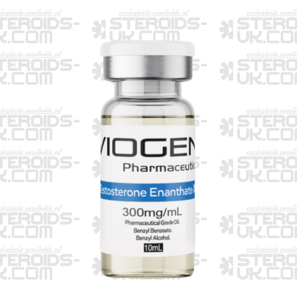 Testosterone Enanthate 300 - Viogen